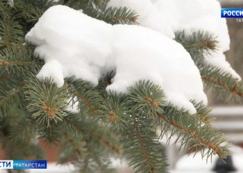 В Гидрометцентре Татарстана назвали причину экстремальных морозов