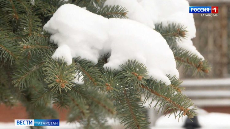 В Гидрометцентре Татарстана назвали причину экстремальных морозов