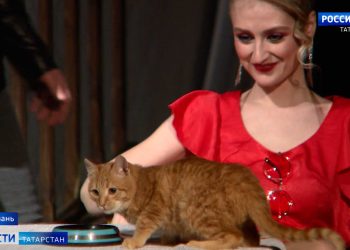 В Казани ищут дом для начинающего актера