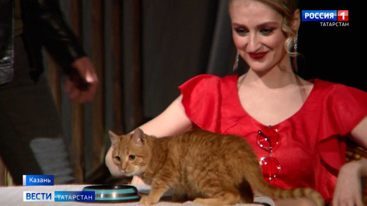 В Казани ищут дом для начинающего актера