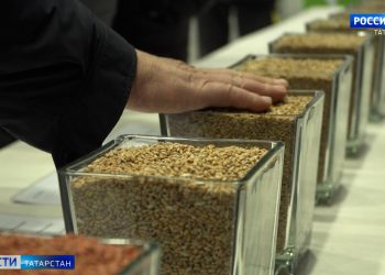 Прокуратура РТ требует уволить пятерых чиновников в связи с утратой доверия