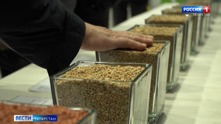 Прокуратура РТ требует уволить пятерых чиновников в связи с утратой доверия