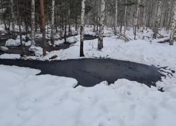 В Шемордане по нацпроекту в этом году завершат рекультивацию загрязненных нефтью земель