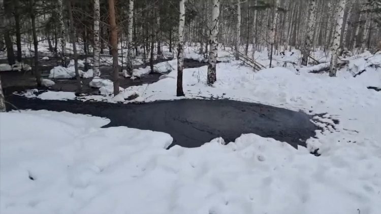 В Шемордане по нацпроекту в этом году завершат рекультивацию загрязненных нефтью земель