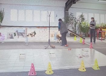 Вести ПФО (12.01.24)