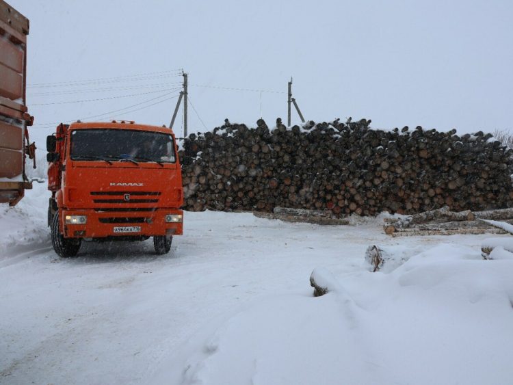 В Актанышском районе семьям бойцов СВО передали дрова