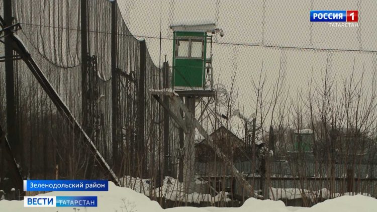 Инцидент в татарстанской колонии: один человек погиб, несколько пострадали