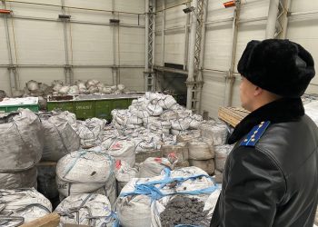 В Челнах при разгрузке вагонов насмерть придавило рабочего