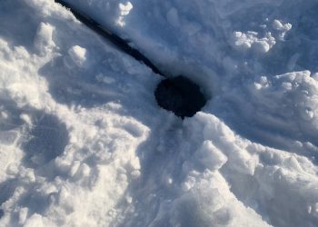 В Татарстане подпитали кислородом водоемы Чистопольского района