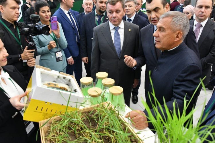 Минниханов выразил благодарность аграриям Татарстана