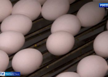 Охота за «веселыми»: за три дня нового года в Татарстане задержала больше сотни пьяных водителей