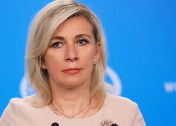 Захарова ответила на слова Данилова о демилитаризованной зоне