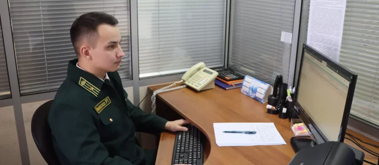 В РТ 70 специалистов лесной отрасли повысят квалификацю по нацпроекту