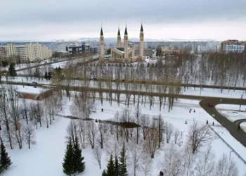 В Нижнекамске планируют создать кризисный центр