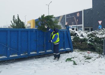 Казань собрала 2500 елей в рамках акции «Елки-палки»