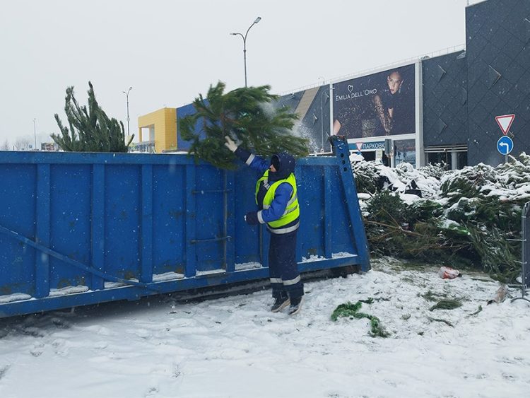 Казань собрала 2500 елей в рамках акции «Елки-палки»