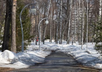 В Казани парк «Сосновая роща» получил статус особо охраняемой природной территории