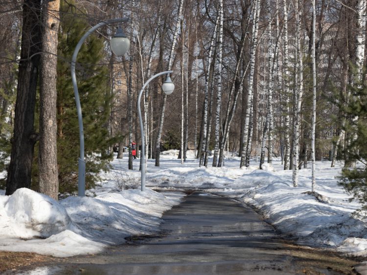 В Казани парк «Сосновая роща» получил статус особо охраняемой природной территории