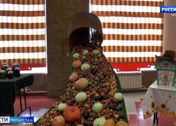 В Старом Дрожжаном прошел слет передовиков сельхозпроизводства