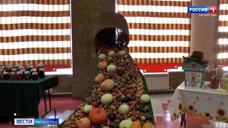 В Старом Дрожжаном прошел слет передовиков сельхозпроизводства