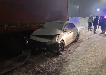 Прокуратура организовала проверку после ДТП с погибшим ребенком на трассе М7