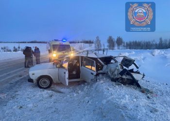 В Татарстане в ДТП погибла 83-летняя женщина