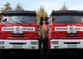 В Татарстане идет подготовка к новому пожароопасному сезону в лесах по нацпроекту