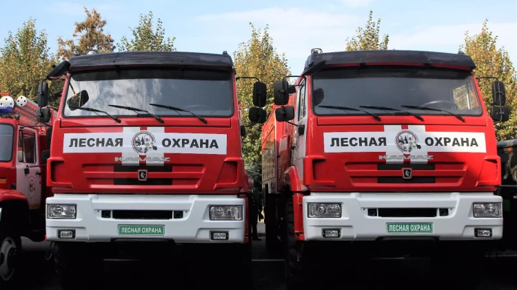 В Татарстане идет подготовка к новому пожароопасному сезону в лесах по нацпроекту