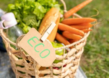 Татарстан в числе лидеров органической продукции в рамках нацпроекта