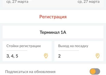 В казанском аэропорту из-за непогоды задержали рейс на 12 часов