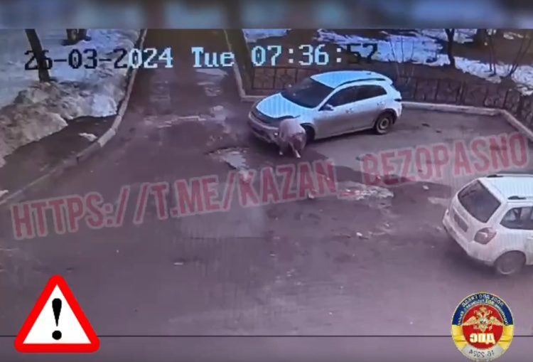 В Казани легковушка сбила девушку
