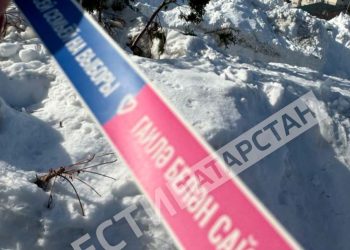 Фазлеева поблагодарила семьи за участие в выборах