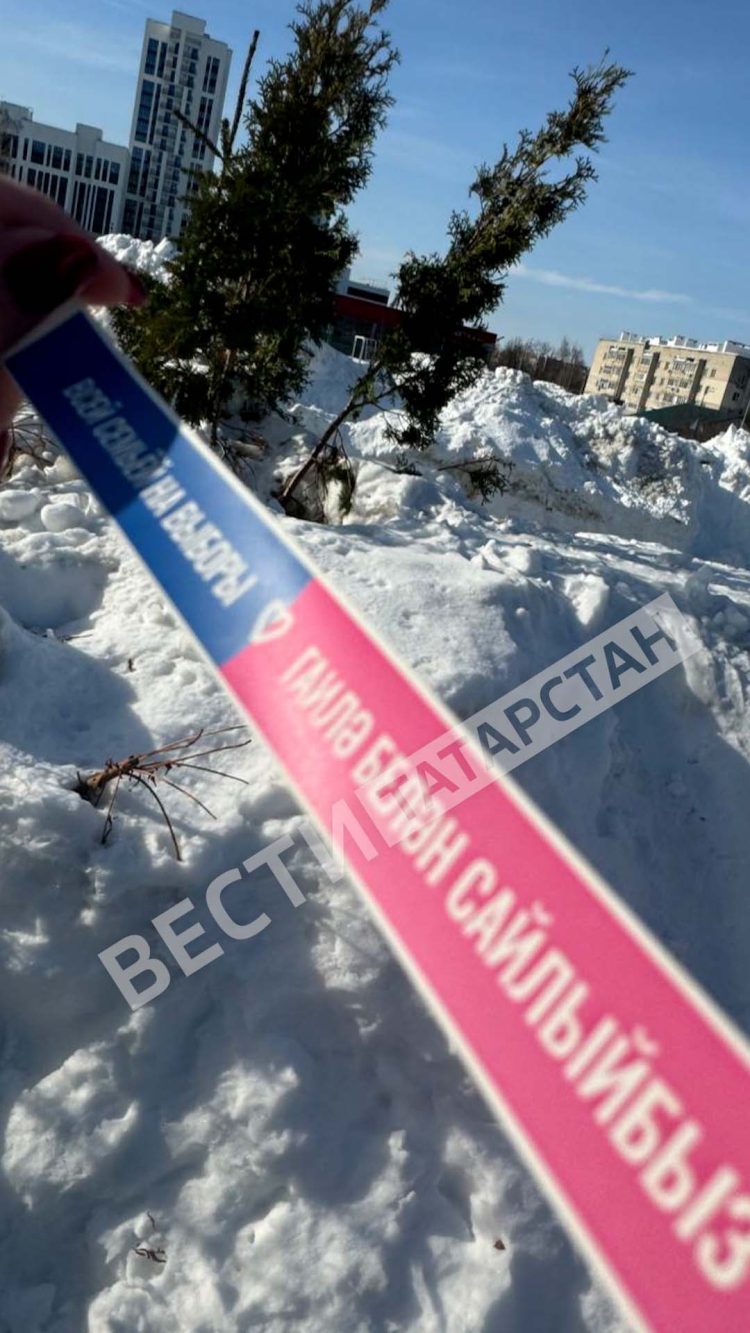 Фазлеева поблагодарила семьи за участие в выборах