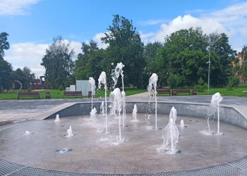 В Центральном парке Буинска высадят деревья и цветы в рамках нацпроекта