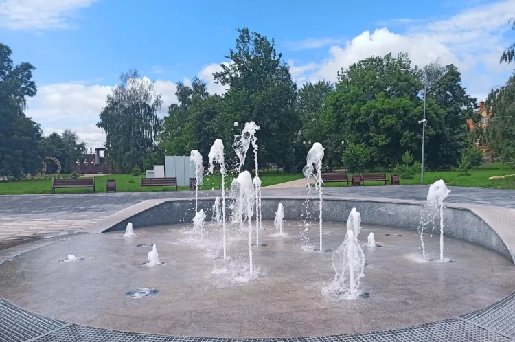 В Центральном парке Буинска высадят деревья и цветы в рамках нацпроекта