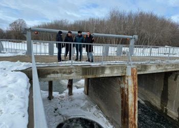 В Менделеевске в парке «Ушковские острова» из-за паводка ввели круглосуточное дежурство