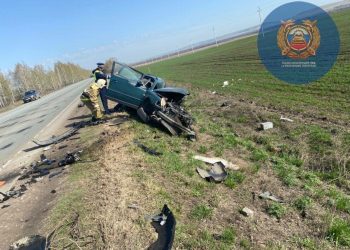 В Бавлинском районе в ДТП с грузовиком погиб водитель иномарки