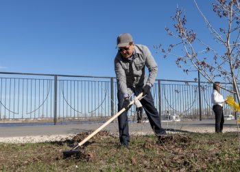 Метшин принял участие в общегородском субботнике