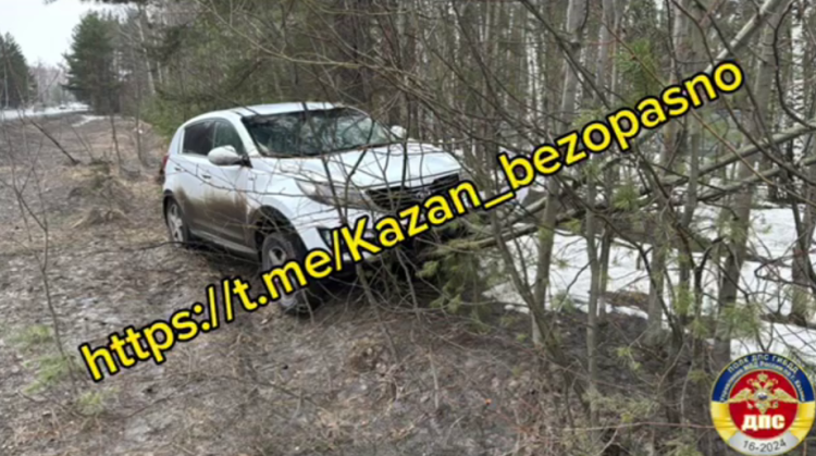 В Татарстане водитель иномарки скончался за рулем
