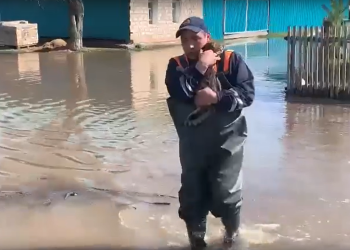 Татарстанские спасатели вернули хозяевам кота из затопленного дома в Оренбургской области