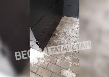Жильцы казанского ЖК «Светлая Долина» жалуются на крыс