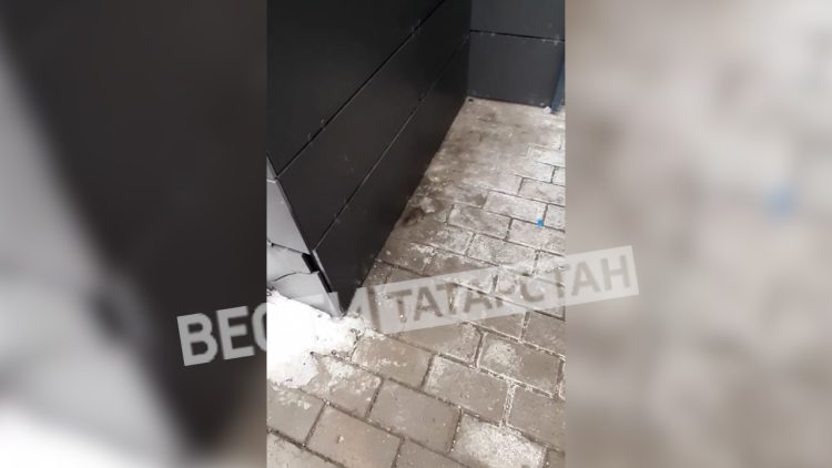 Жильцы казанского ЖК «Светлая Долина» жалуются на крыс