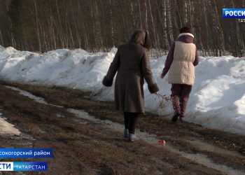 Жители Высокогорского и Лаишевского районов бьют тревогу из-за бездорожья