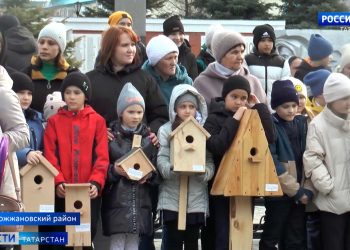 В Старом Дрожжаном провели районный фестиваль скворечников