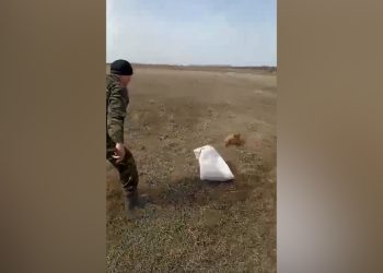 В Азнакаевском районе спасли сурка