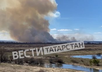 В Елабужском районе загорелись поля