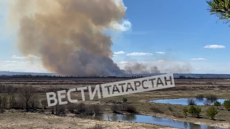 В Елабужском районе загорелись поля
