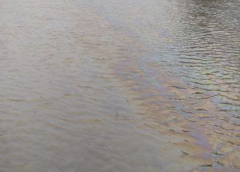 В Альметьевске каскад прудов покрылся бензиновой пленкой