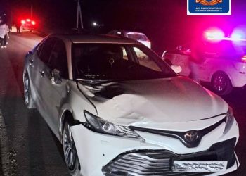 В Мензелинском районе водитель иномарки насмерть сбила троих несовершеннолетних