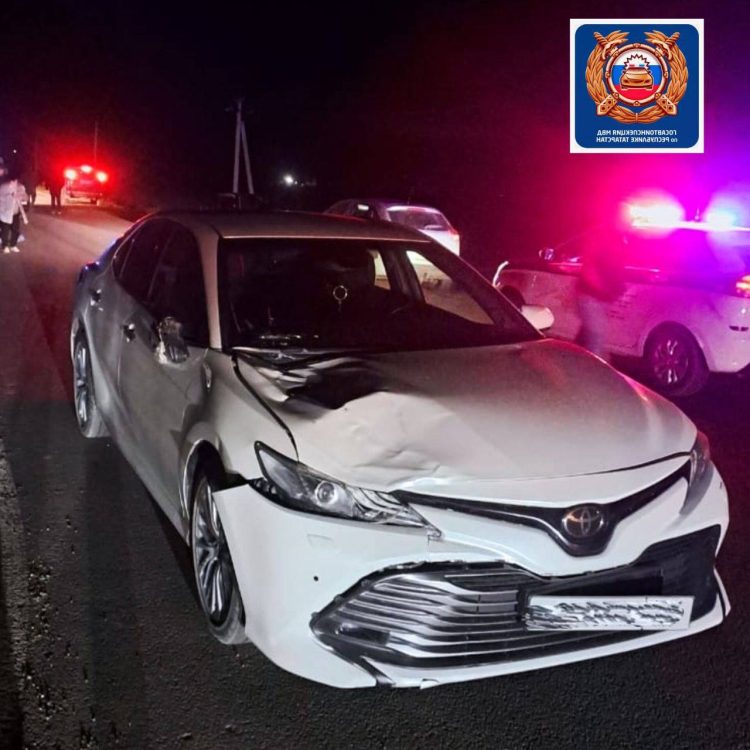 В Мензелинском районе водитель иномарки насмерть сбила троих несовершеннолетних